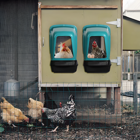 NEST WITH BASKET FOR LAYING HENS