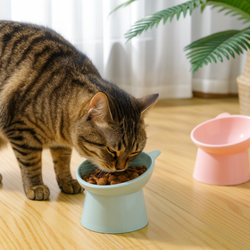 DA368 MISKA DLA KOTA ZIELONA