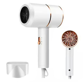 AG440G TURYST. SUSZARKA DO WŁOSÓW WHITE