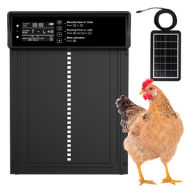 Automatyczne drzwi do kurnika solarne z pilotem – bezpieczne, wodoodporne, inteligentne sterowanie