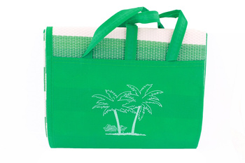 AG366A MATA PLAŻOWA Z PODUSZKĄ ZIELONA