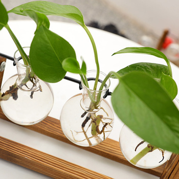 AG691E WAZON HYDROPONICZNY