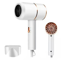 AG440G TURYST. SUSZARKA DO WŁOSÓW WHITE