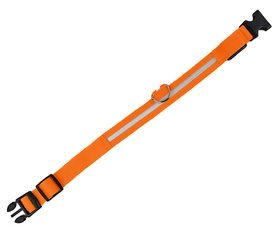 Świecąca OBROŻA dla Psa LED Rozmiar S 32-37cm pomarańczowa AG232C 