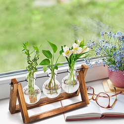 brązowy + przezroczysty