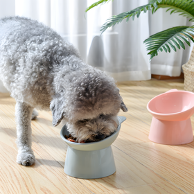 Miska dla kota na stojaku 15° – na karmę i wodę ogranicza rozlewanie ergonomiczna, zielona