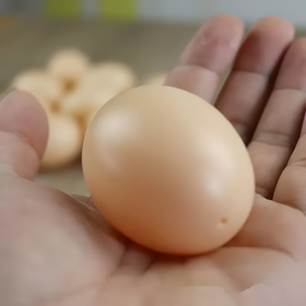 Zestaw 25 szt. sztucznych jaj dla kur – podkładowe, plastikowe, brązowe, 5,3 cm – lekkie