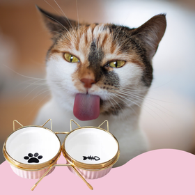 DA539A ZESTAW 2x300ml MISKA DLA KOTA PSA