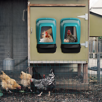 NEST WITH BASKET FOR LAYING HENS