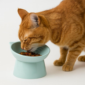 DA368 MISKA DLA KOTA ZIELONA