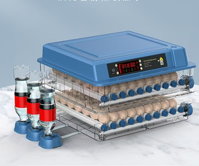 Automatyczna wylęgarka do jaj 64 szt. – LED, obracanie, regulacja wilgotności, 230V