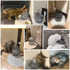 DA397 POIDEŁKO AUTOMATYCZNE DLA ZWIERZĄT