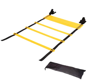 Koordynacyjna DRABINKA Treningowa Mini Zestaw Piłkarski 600cm AG920  