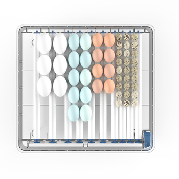 Automatyczna wylęgarka do jaj 64 szt. – LED, obracanie, regulacja wilgotności, 230V