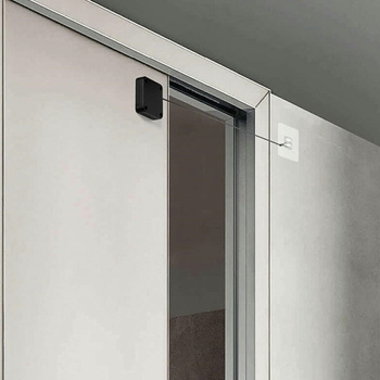 AG799 SAMOZAMYKACZ DO DRZWI