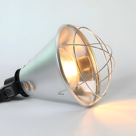 Oprawa do żarówki grzewczej E27 250W – aluminiowa lampa z regulacją mocy i łańcuchem 2,5 m