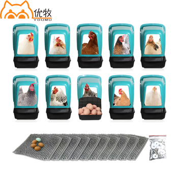 NEST WITH BASKET FOR LAYING HENS