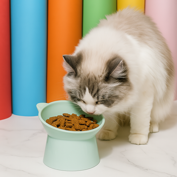 DA368 MISKA DLA KOTA ZIELONA