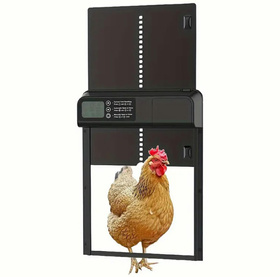 Automatyczne DRZWI do kurnika programator LCD 33,5x24,5x5cm czarne