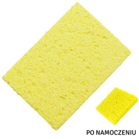 NZ25 GĄBKA DO CZYSZCZENIA GROTÓW