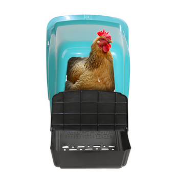 NEST WITH BASKET FOR LAYING HENS