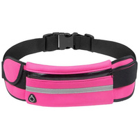 BQ12E PAS DO BIEGANIA SASZETKA NERKA